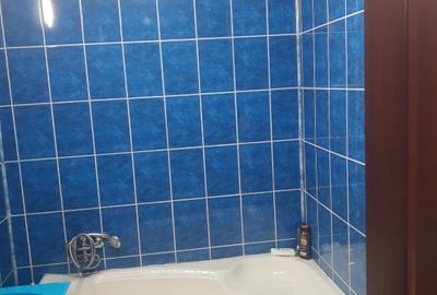 Central, 3 camere, lângă Statiunea Straja - 15