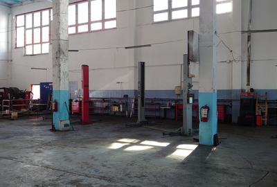 Hala 480mp, zona Complexul Studentesc - 10