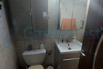 Vilă și fosta fermă 8300 mp în Valea lui Mihai, Bihor - 10