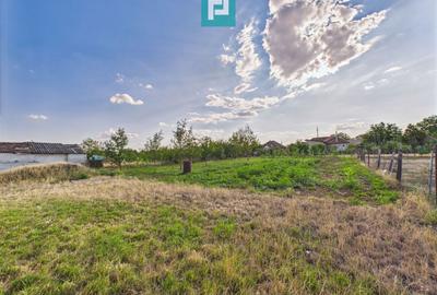 Teren intravilan 1.069 mp în Macea, jud. Arad - 3
