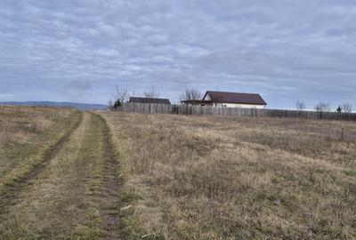 Parcele intravilane intre Bod si Sanpetru - 1