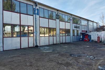 Hala industriala de inchiriat pe Calea Bucuresti folosinta multipla - 5