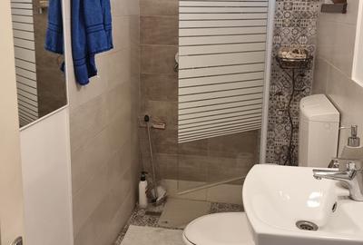 Casa P+1 , zona Muzeul Satului - 15