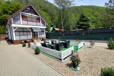 Afacere la cheie! Pensiune (casa de locuit) cu restaurant zona Cugir! - 9