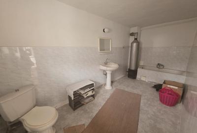 Vand casa saseasca 4 camere cu teren generos 1900mp - 17