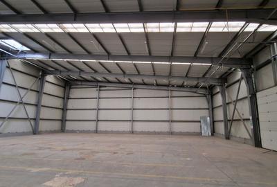 Spațiu comercial, în Șagului