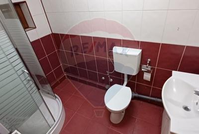 DE INCHIRIAT: Casă / Vilă P+1 - Zona Centrala BAIA MARE - 14
