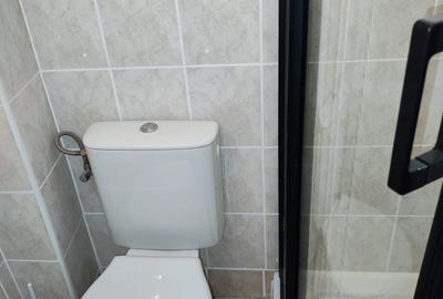 Baneasa, casa 2 camere, mobilata, renovata, parcare - 5