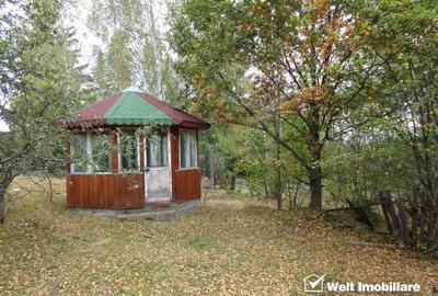 1.6 ha de padure cu poienita, parau la limita curtii, cabana pentru trei familii - 2