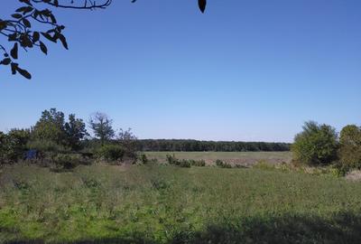 TEREN INTRAVILAN 1950 MP MOARA VLASIEI LA LAC - 4