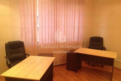 Parter Apartament la Vila Ideal Birouri Domenii - Banu Manta -Grivita - 4