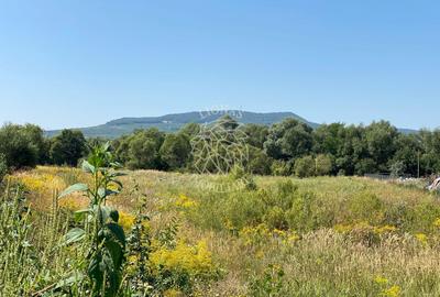 Teren 4100 mp - oportunitate investitie - Bistrita Zona Ranahum - 5