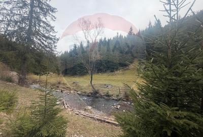 Arieșeni–Strada Fața Cristesei -Teren 4.331 mp cu Peisaj de Poveste - 15