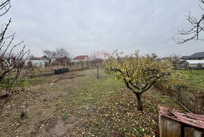 Casă / Vilă cu 4 camere Vanatori - 18