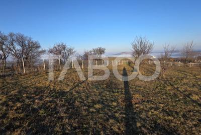 Teren 1974 mp intravilan de vanzare in Loman judetul Alba - 4