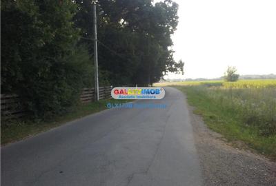 Teren Impadurit 1 Ha Corbeanca aviz defrisare pnt 2 case - 1