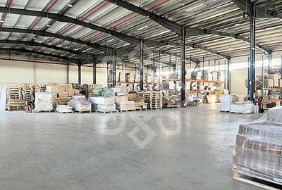 Hala noua 2402 mp in Parcul Industrial I, zona Borsului - 3