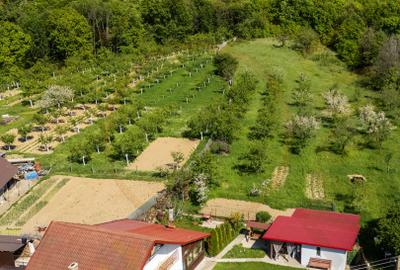 Casa cu teren generos si gradina spectaculoasa – Comuna Cuca, Argeș! - 2