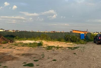 Teren 533 mp - Buftea - 19