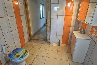 Exclusivitate! Casă cu teren generos în Sat Olteni, Com.Teișani - 35