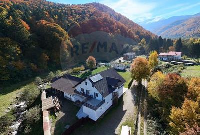 Pensiunea Valea Lisei – nouă, complet utilată - 35