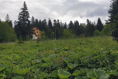 Teren intravilan de vanzare Predeal - 3