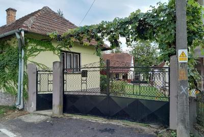 🏡 Oportunitate Unică pe Via Transilvanica | Domeniu superb cu 2 CASE și Grădină - 13