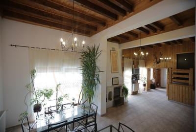 Pensiune in zona de munte-Baia de Fier - 5