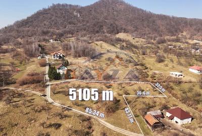 Teren intravilan 5.105 mp, Baia Sprie, la intrare pe Valea Chiuzbăii - 2