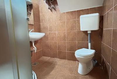 Casa P+1 ideala pentru 2 familii sau pentru inchiriere – zona centrala - 8