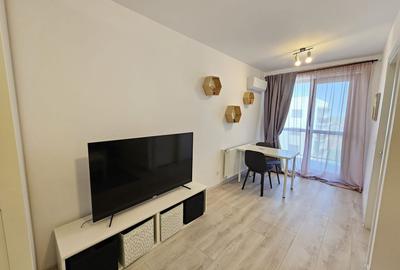 Apartament cu o camera de inchiriat, Hils Pallady - 7