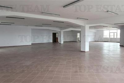 Spatiu Office & Comercial 363 mp Otopeni - Etaj 5, Vedere Panoramica DN1 & Teras - 1