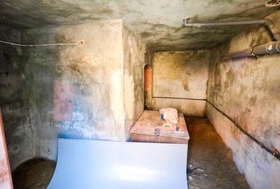 Casa + Moara + Spatiu Comercial, langa Primarie, 3 intrari |VIDEO - 15