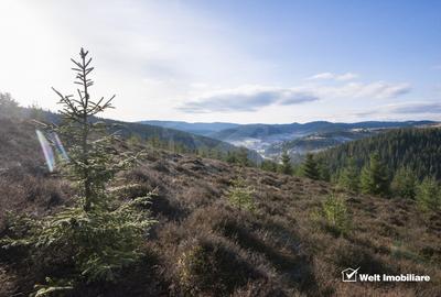 Eco Retreat Land in Apuseni Romania - Poiana Horea - 8
