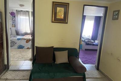 Casa de vanzare in sat Jorasti , suprafata 107 mp , teren 913 mp , imbunatatita - 7