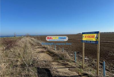 Teren intravilan 47.400 mp, Vama Veche, 200 m de Marea Neagra - 2