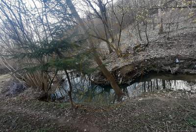 Teren intravilan pentru Casa de Vacanta - Mosoaia -Basangesti - 5