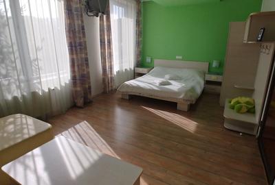 Vila/Pensiune,casa administrator,teren plat 2000Mp - 5