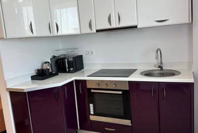 Exclusive Residence Copou Apartament Liber - 8