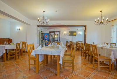 Complex Turistic Panicel, DN73A - 20