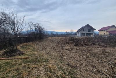 Casă de vânzare – Zona Agarcia, județul Neamț - 10
