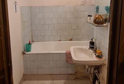 Lacul Tei stradal vav Facultatea de Constructii,langa Parcul Tei - 10