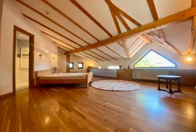 Vila de lux lângă Curtea Domnească – investiție premium Târgoviște, teren 1.700 - 56