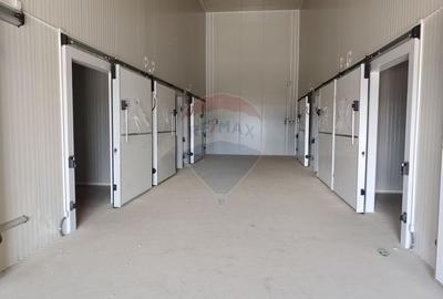 Depozit frigorific de 216 mp cu 4 celule, Șcheia, Suceava - 20