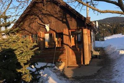 Casa din busteni cu ferma zootehnica si afacere (Tengheler, Com. Ditrau) - 23