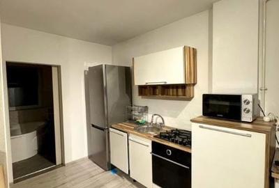 Apartament 2 camere, cu terasa si balcon, parcare subterana, C. Coposu - 4