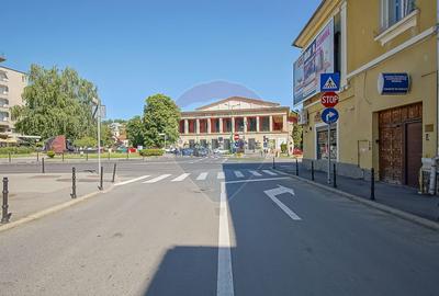 Studio modern in Centrul Istoric | Teatrul Dramatic - 21