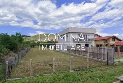 Închiriere loturi de teren, situate în Comuna Runcu – sat Bâltișoara - 2