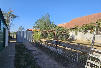 Gelu – Casa 6 Camere – Proiect 2 Familii – Teren Generos - 7