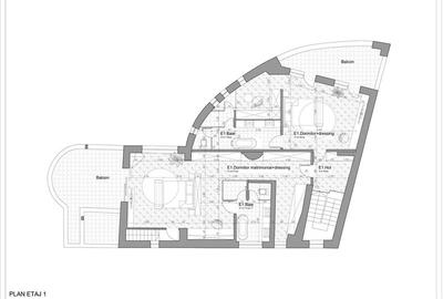 Vila de Lux de inchiriat Baneasa - 48